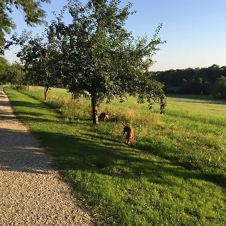 Waldhotel Brand's Busch