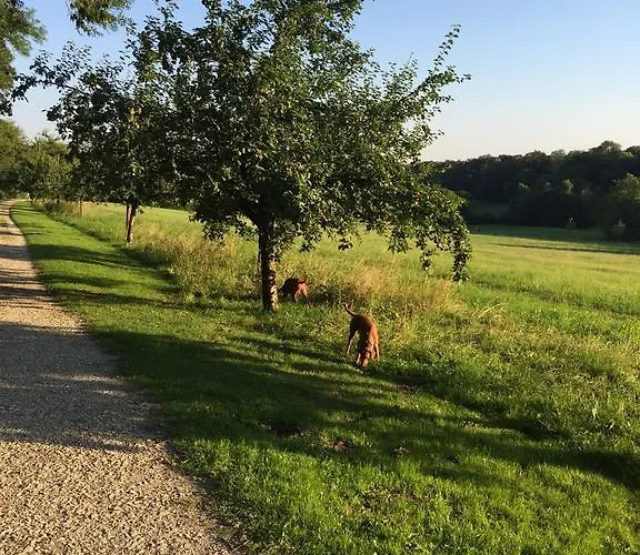 Waldhotel Brand's Busch